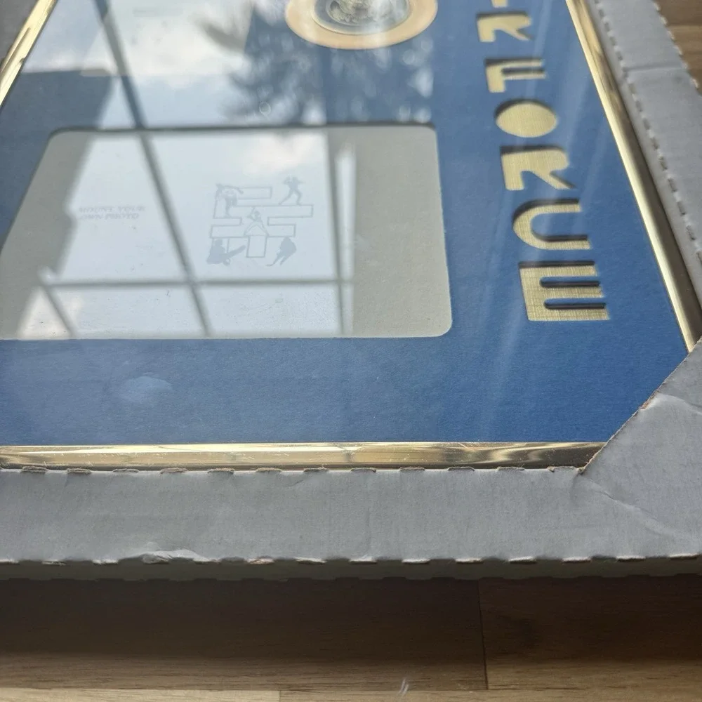 VTG US. Air Force Picture Gold Frame With Crest Collage Frame USAF 2 Pic‎ 10x13